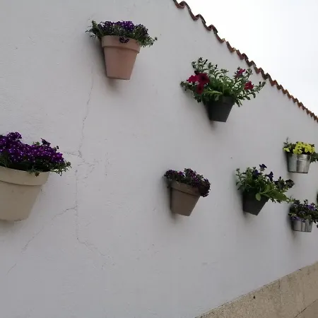 Casa Reibon